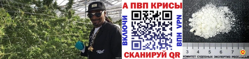 Псилоцибиновые грибы Сортавала
