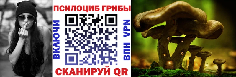 блэк спрут сайт  Сортавала  Псилоцибиновые грибы Psilocybe 